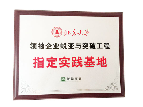 領(lǐng)袖與企業(yè)突破實踐基地