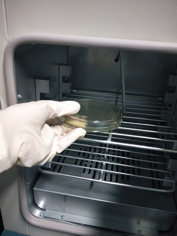 那些你可能不知道的醫(yī)療器械包裝相關驗證